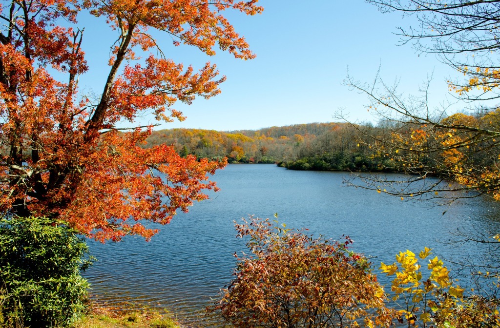 A view of Julian Price Lake and the mountain beyond, framed by trees in the foreground. Fall colors abound.