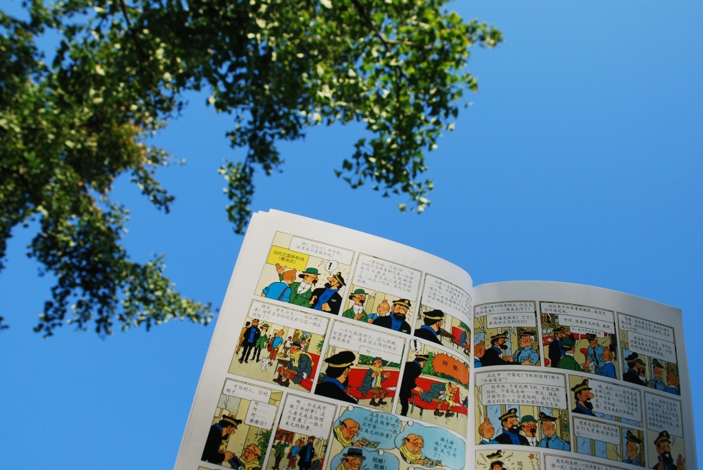 A comic of "The Adventures of Tintin" held up against a blue sky and an overhanging tree branch.